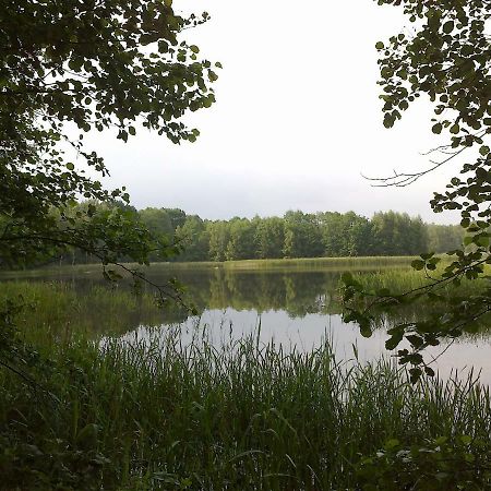Ferienhaus Knappensee Lohsa Εξωτερικό φωτογραφία